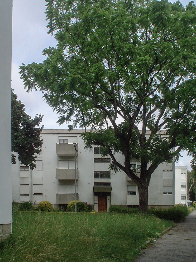 Fernando Tvora - Residential Area of Ramalde (Porto)