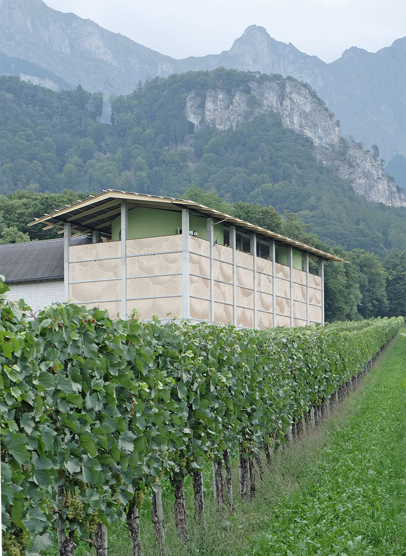 Bearth & Deplazes - Gantenbein Vineyard Flsch