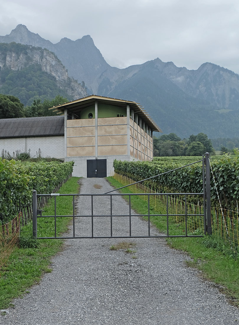 Bearth & Deplazes - Gantenbein Vineyard Flsch