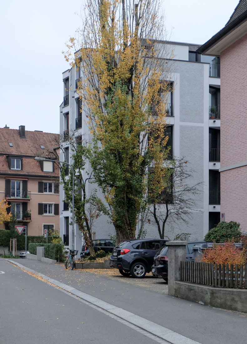 EMI - Apartment Building Geibelstrasse