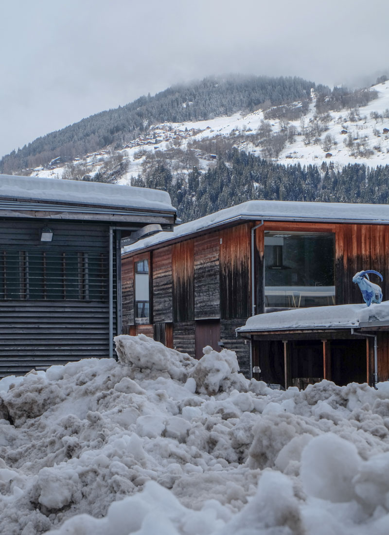 Gerstlauer + Molne - Community and Forest Centre - Castrisch