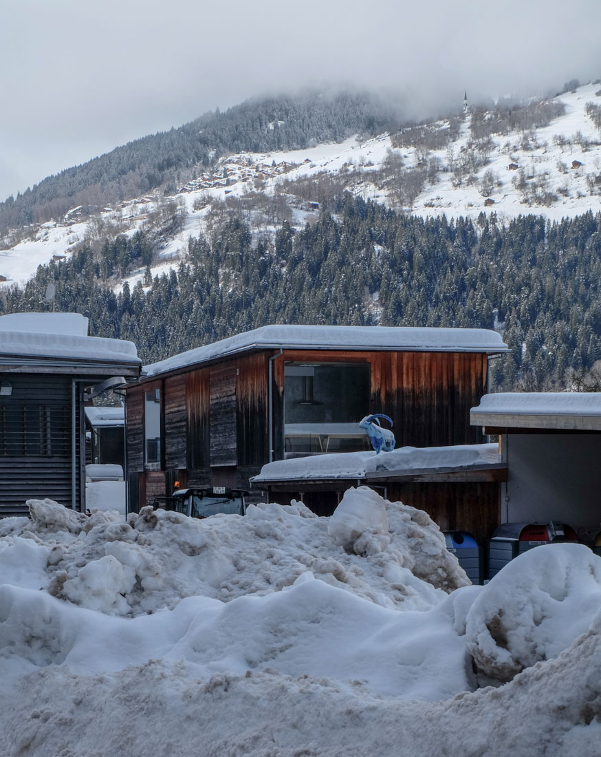 Gerstlauer + Molne - Community and Forest Centre - Castrisch