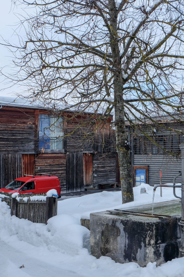 Gerstlauer + Molne - Community and Forest Centre - Castrisch