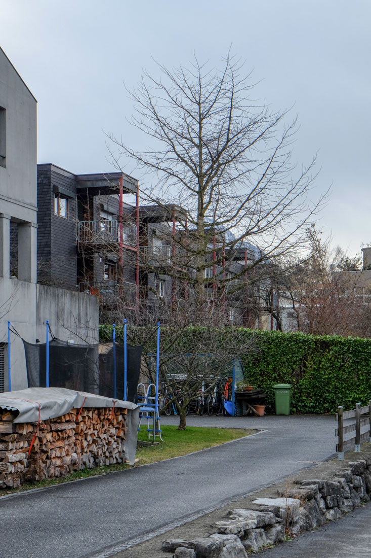 Ernst Gisel - Row Houses Wenaweser Vaduz