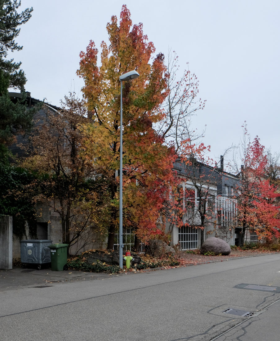 Ernst Gisel - Twin Houses Leutert Erlenbach