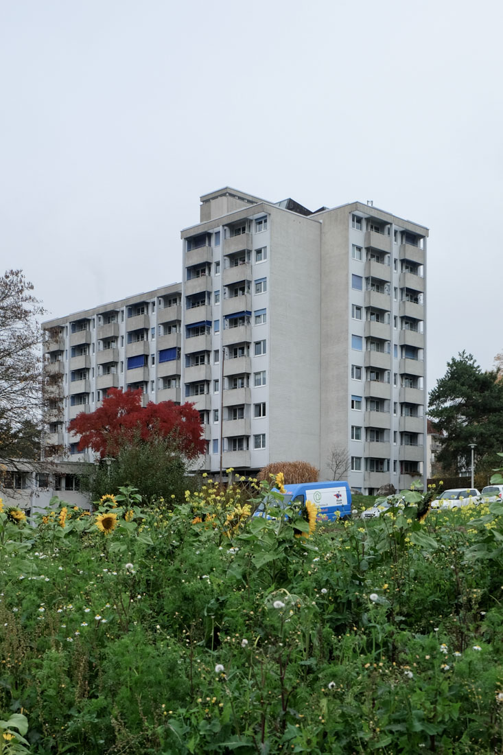 Haefeli Moser Steiger - Retirement Home Neubhl