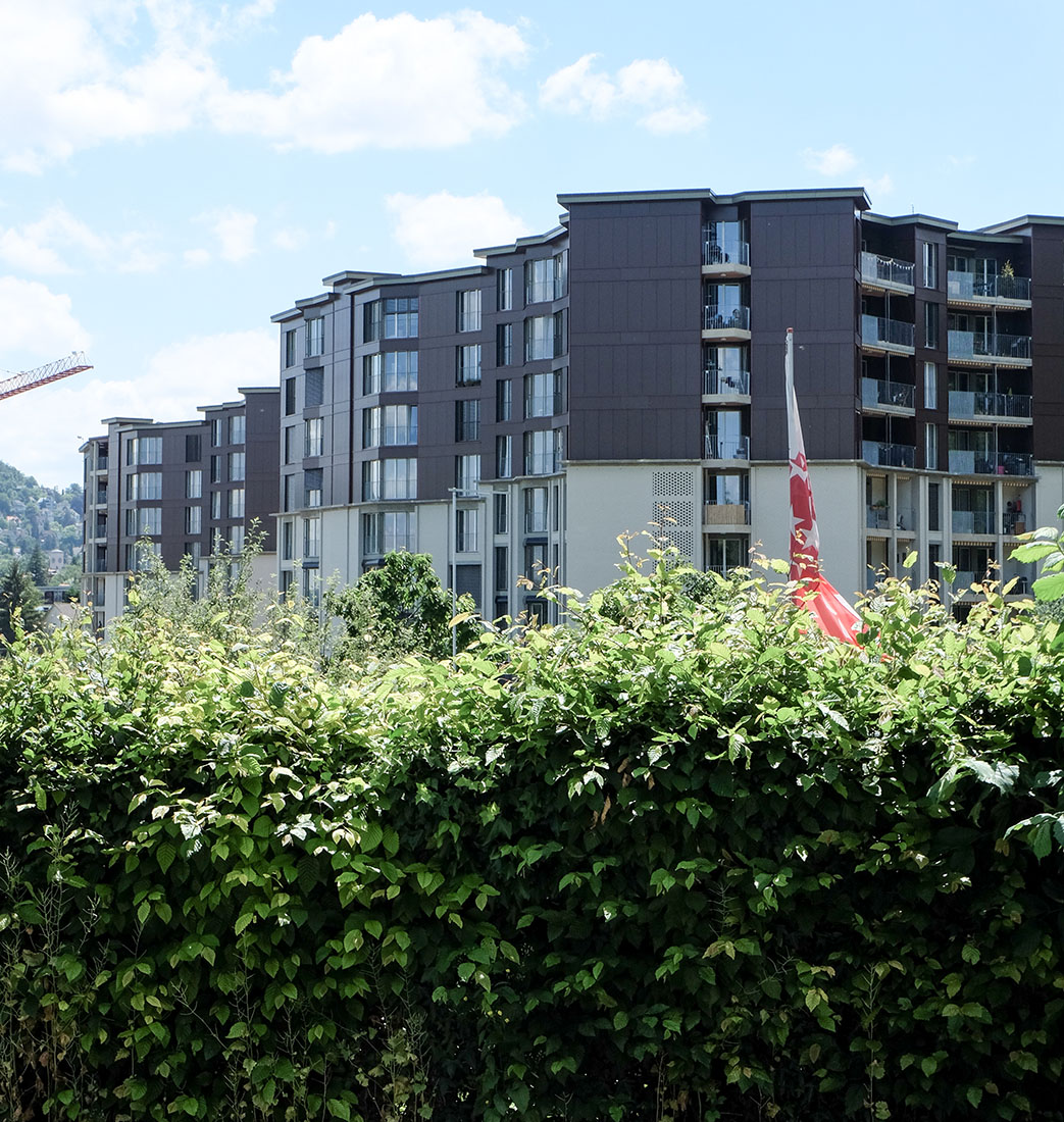 Knapkiewicz & Fickert - Residential Buildings
                Guggach II