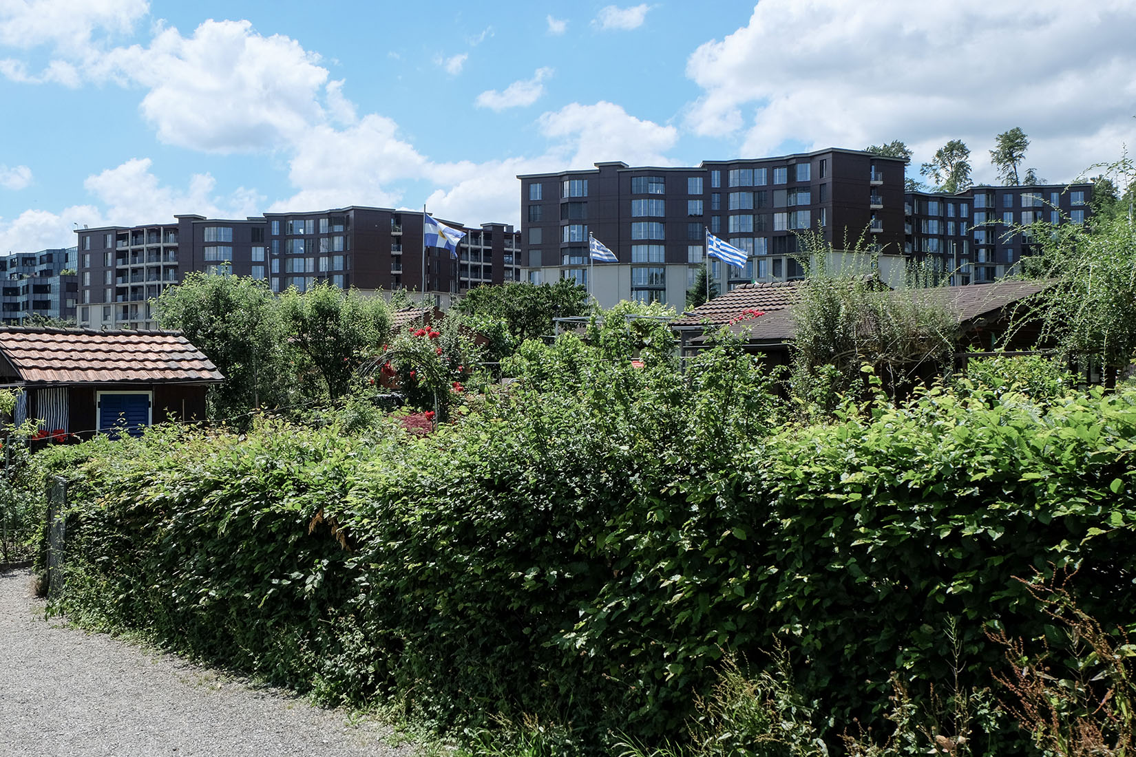 Knapkiewicz & Fickert - Residential Buildings
                Guggach II