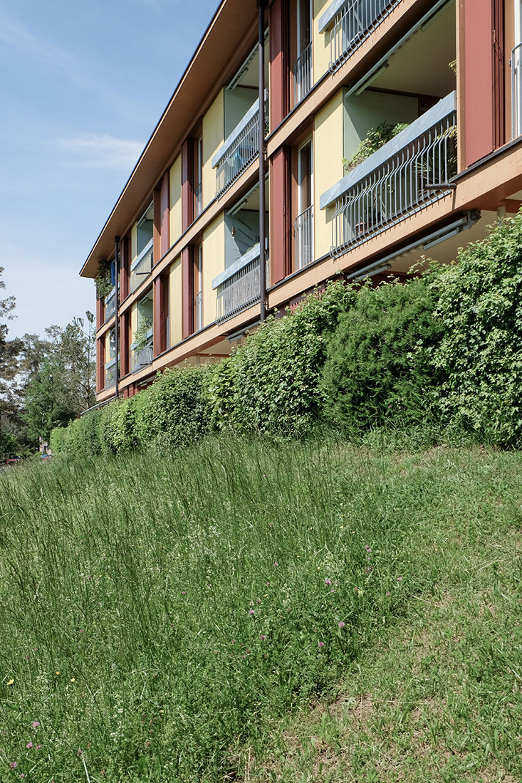 Knapkiewicz & Fickert - Residential Buildings
                Winzerhalde