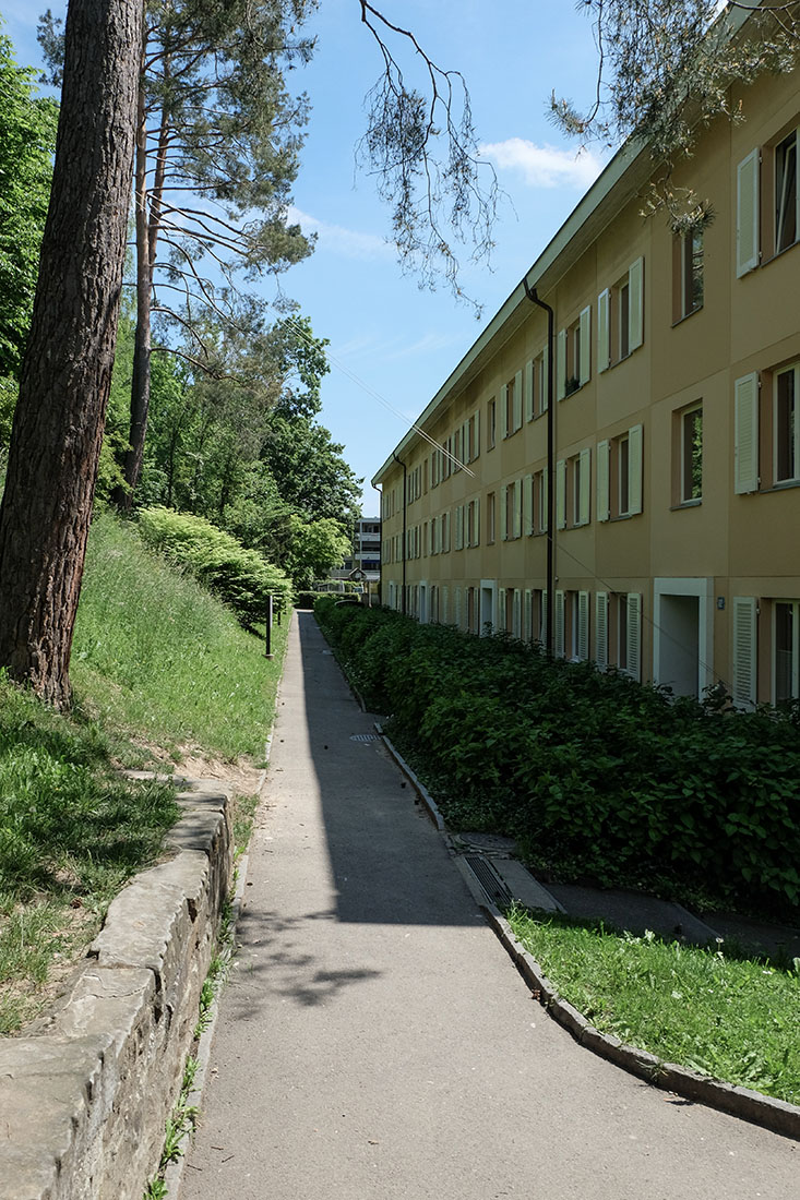 Knapkiewicz & Fickert - Residential Buildings
                Winzerhalde