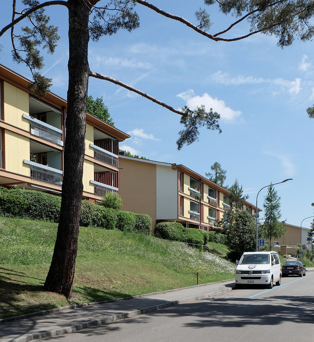 Knapkiewicz & Fickert - Residential Buildings
                Winzerhalde