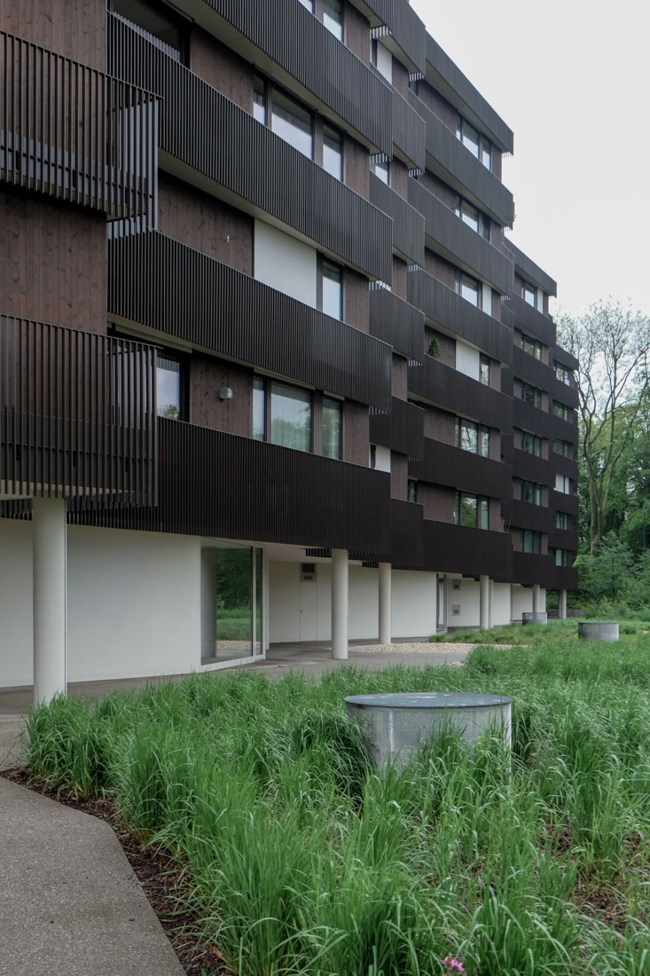 Morger Dettli Architekten - Apartmentbuilding
                Hertweiher Uster