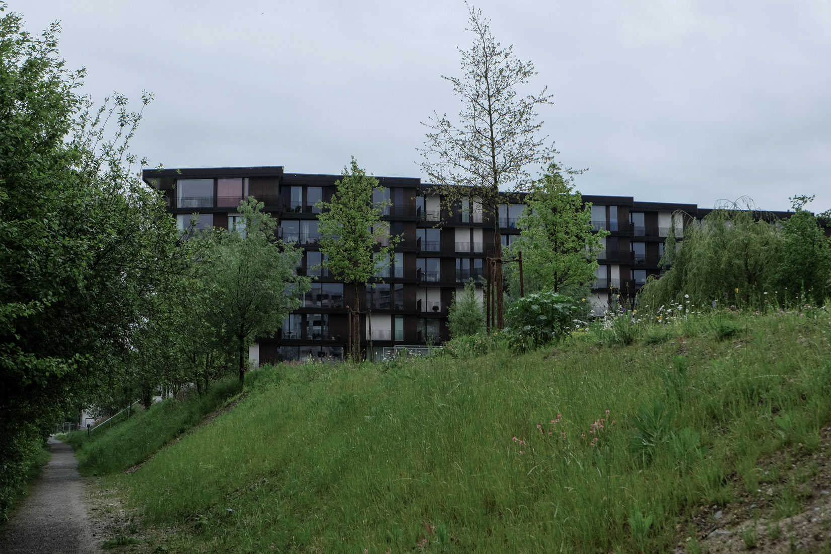 Morger Dettli Architekten - Apartmentbuilding
                Hertweiher Uster