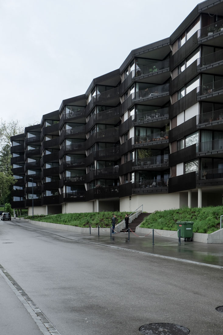 Morger Dettli Architekten - Apartmentbuilding
                Hertweiher Uster