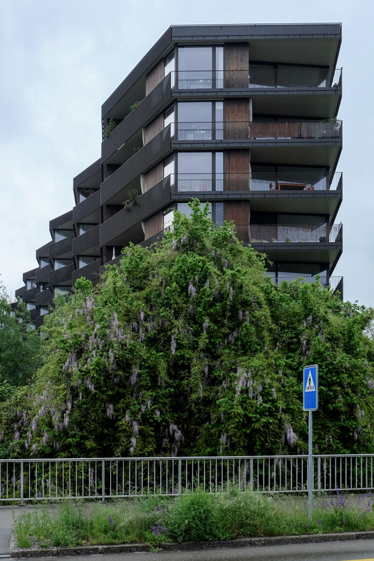 Morger Dettli Architekten - Apartmentbuilding
                Hertweiher Uster