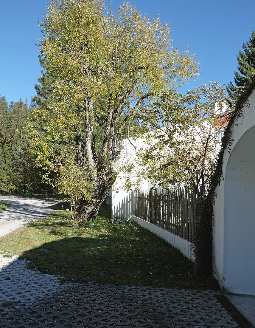 Rudolf Olgiati - Van der Ploeg House Laax