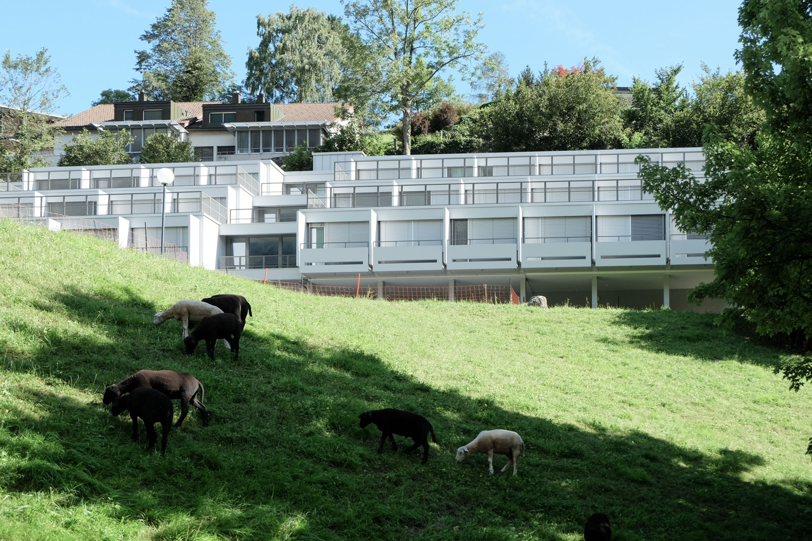 Jakob Zweifel - Staff Terrace House Hospital Glarus